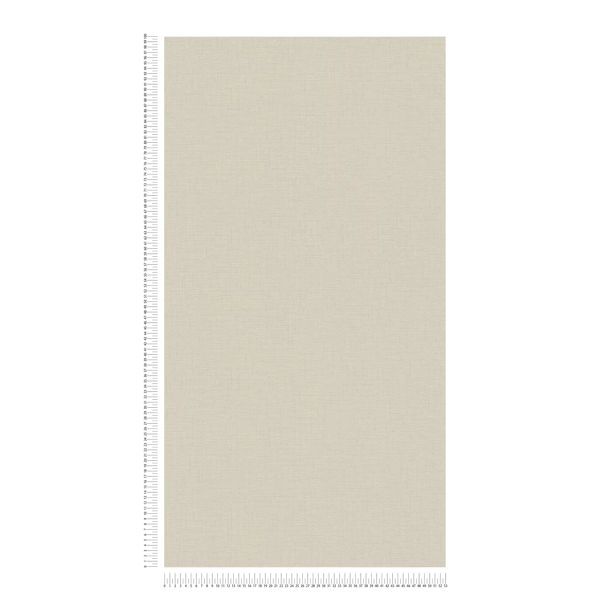             Carta da parati tinta unita beige con struttura tessile - grigio
        