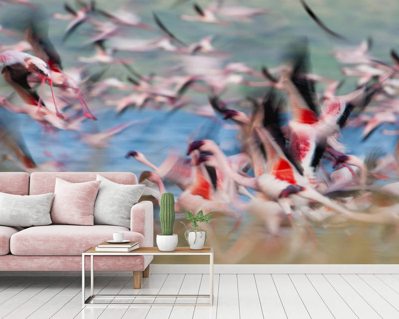             Muurschildering Flamingo's bij het opstijgen
        