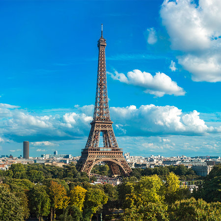         Eiffel Tower & Paris skyline mural
    
