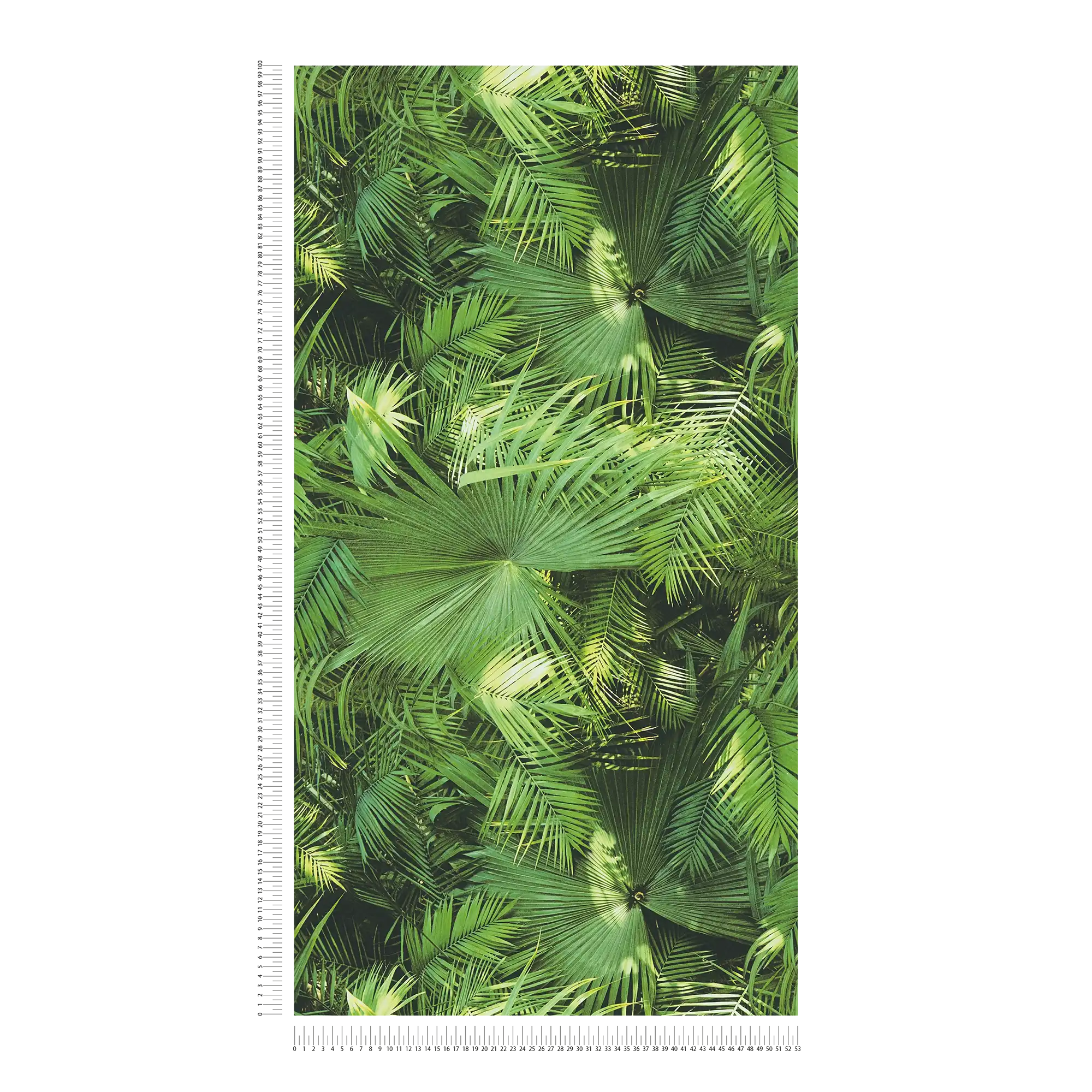             Papel pintado autoadhesivo | hojas de la selva verde
        