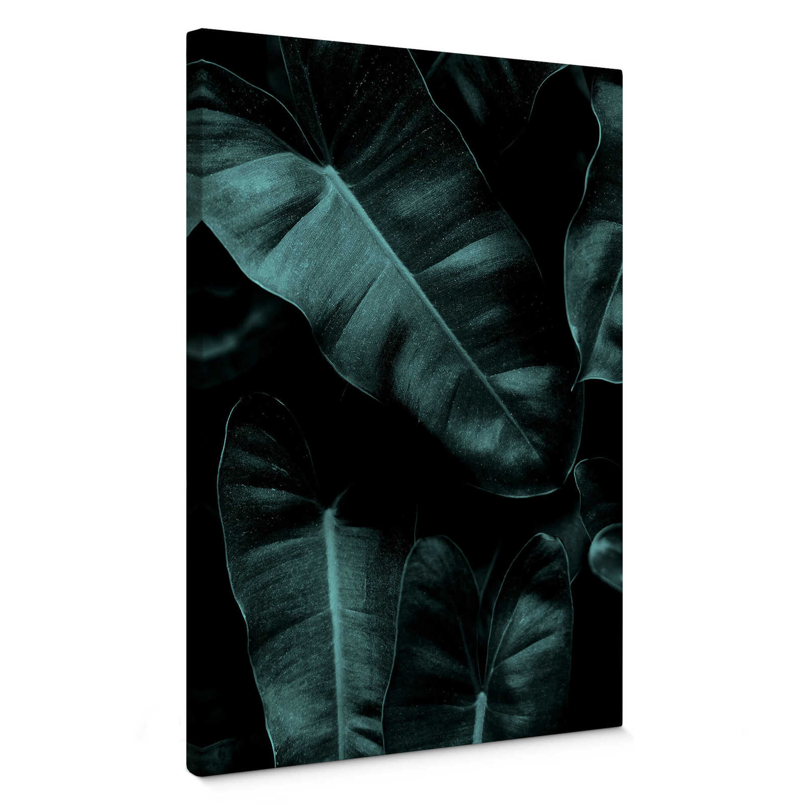         Kubstika Canvas print leaves in a jungle design – green
    