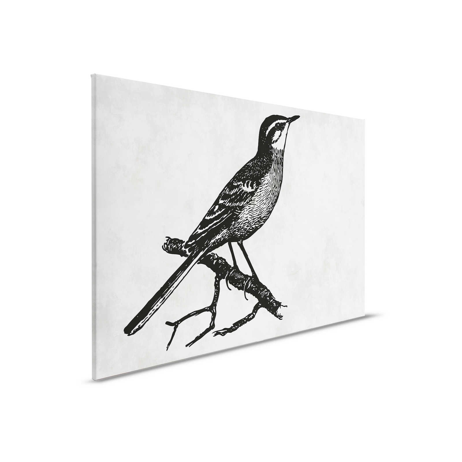         Bird canvas picture in character look with plaster optics - 0.90 m x 0.60 m
    