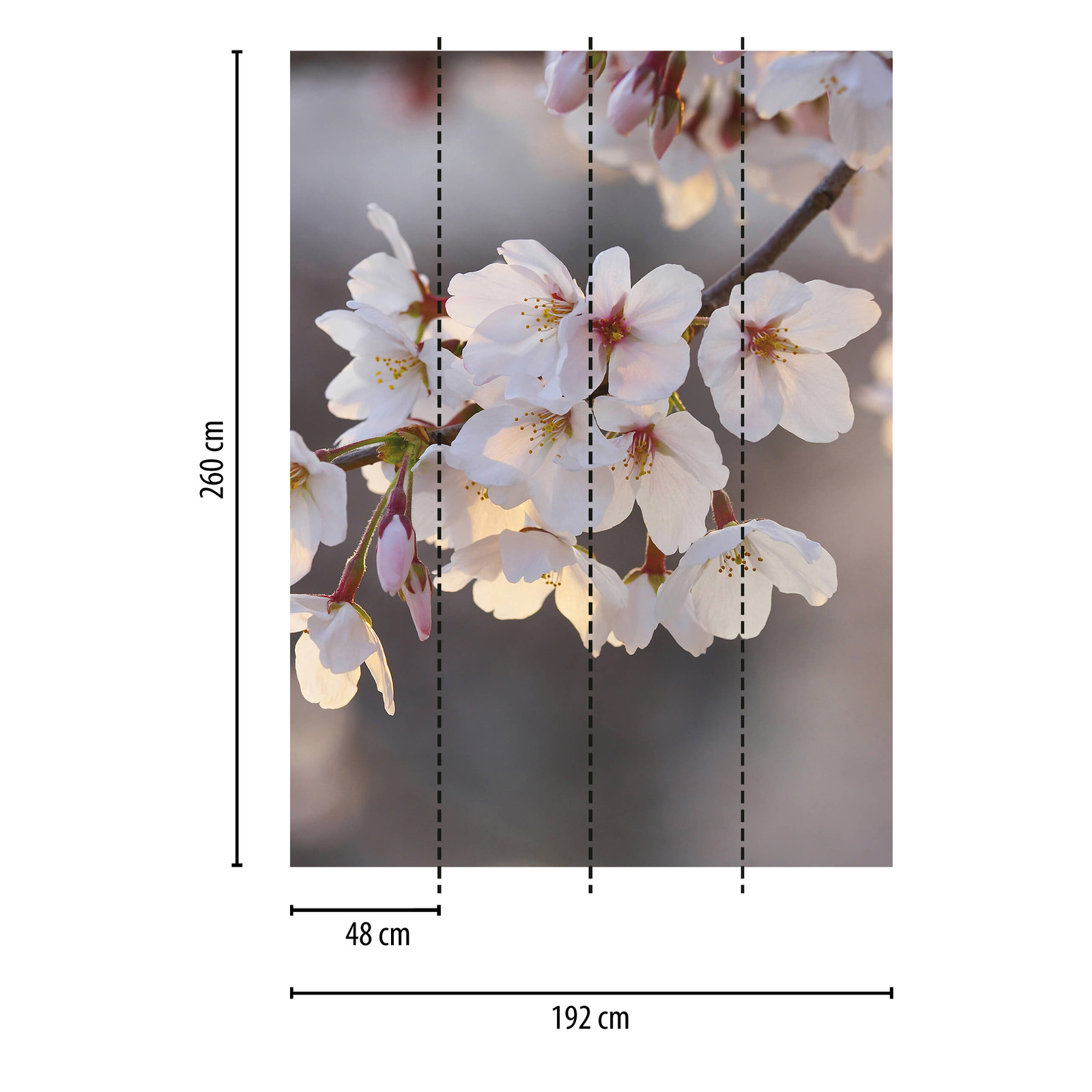             Narrow photo wallpaper cherry blossom - pink, white
        