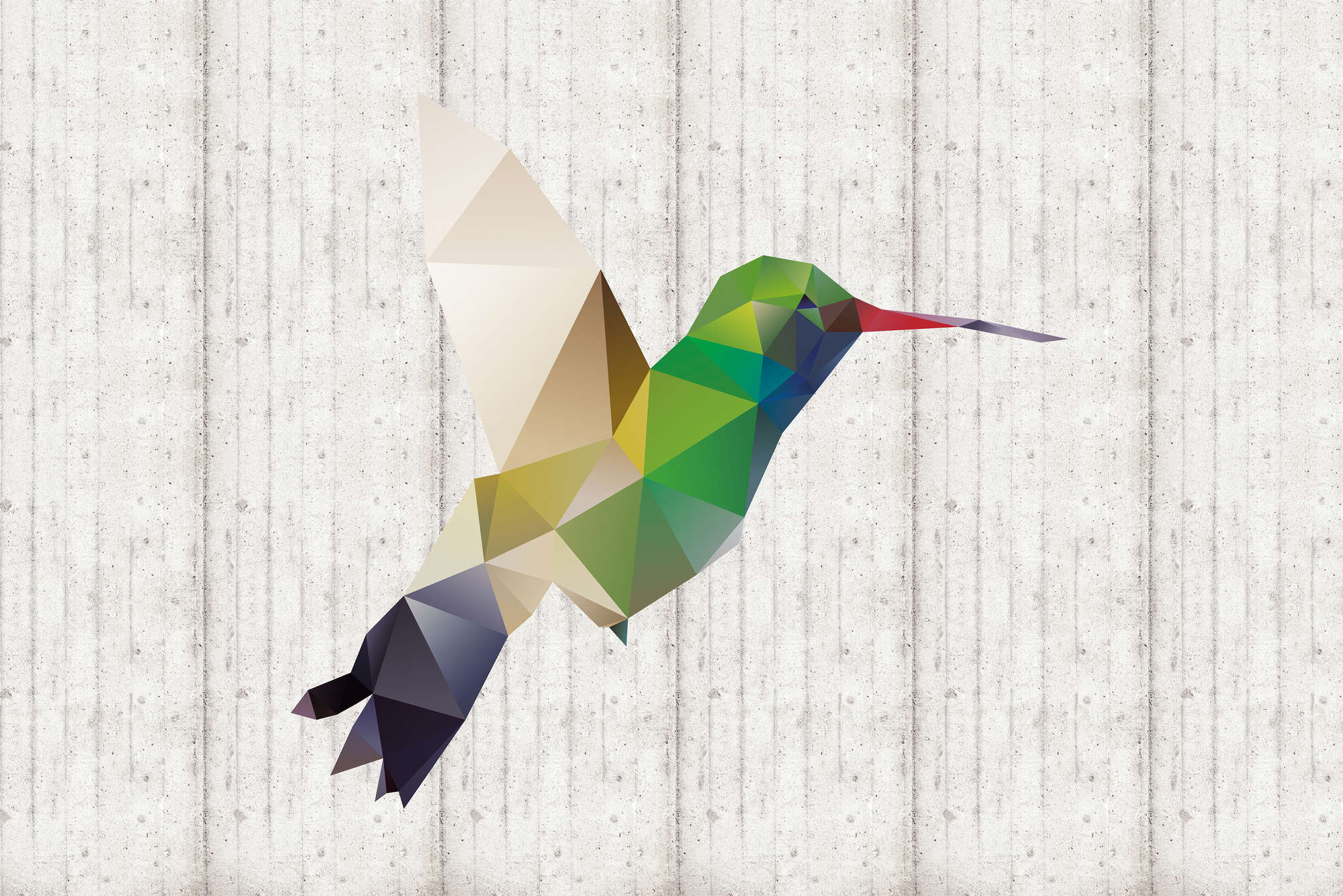             Graphic mural hummingbird motif on textured nonwoven
        