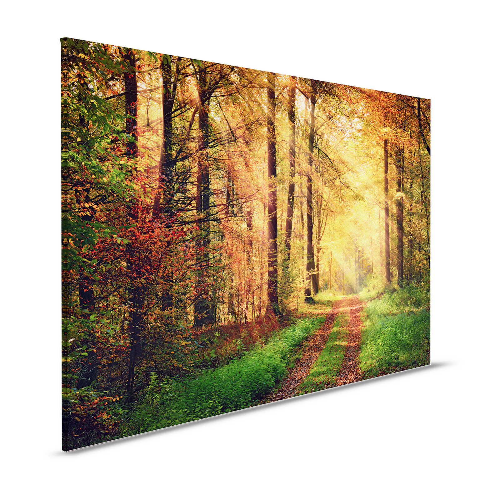 Pittura su tela "Mattino d'autunno" Foresta decidua - 1,20 m x 0,80 m
