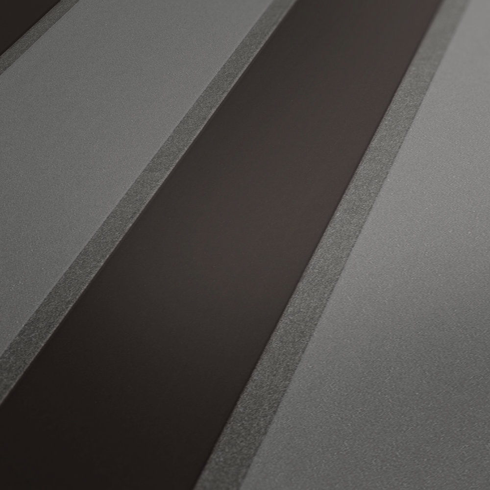             Metallic behang met strepenpatroon - grijs, zwart
        