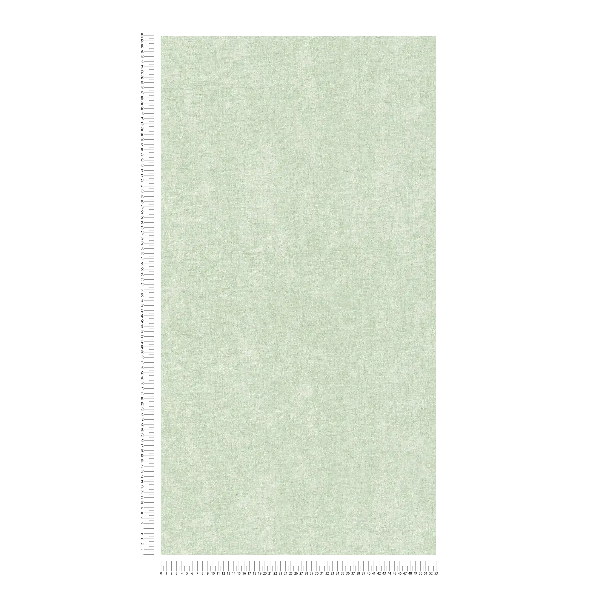             Carta da parati tinta unita verde menta con dettagli texture - Verde
        
