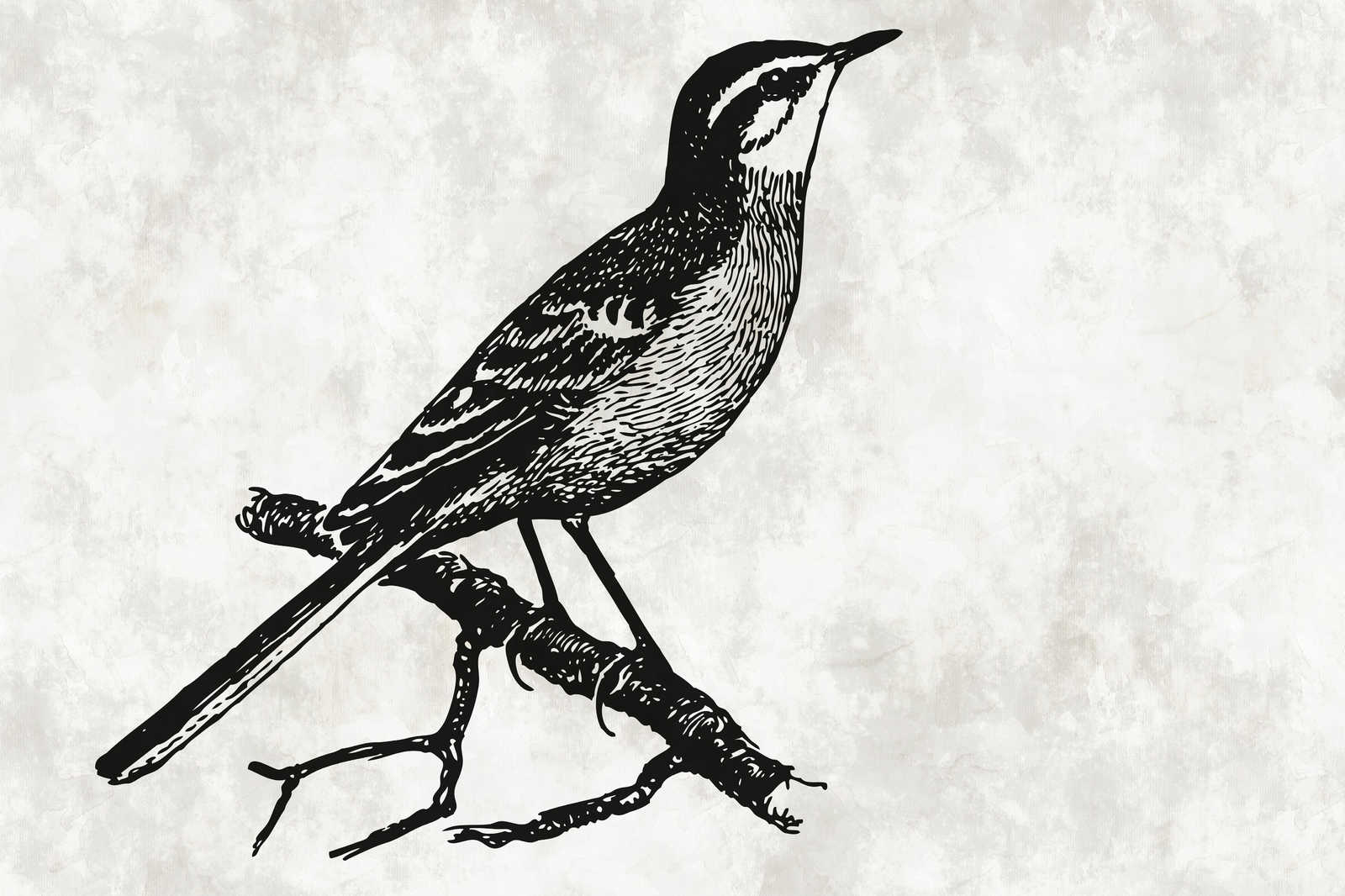             Vogeldoek afbeelding in karakter look met gips optiek - 0.90 m x 0.60 m
        