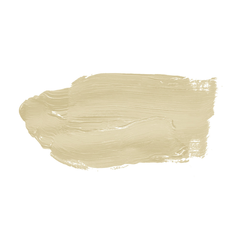             Pittura murale TCK4000 »Natural Mate« in beige chiaro verdastro – 5,0 litri
        