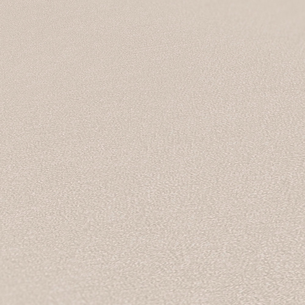             Non-woven wallpaper plain in subtle colours - greige, light grey
        