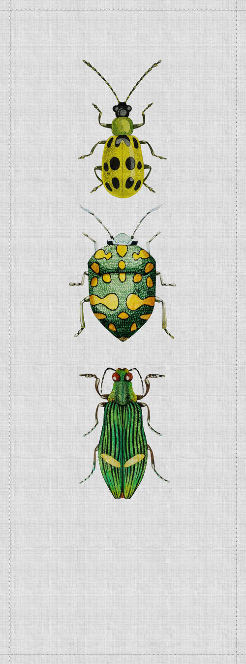             Buzz panels 4 - Panneau d'impression numérique avec des scarabées colorés dans une structure en lin naturel - jaune, gris | Premium intissé lisse
        