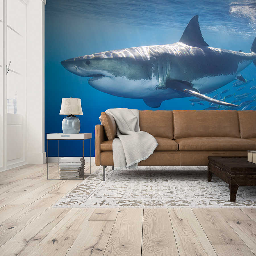         Great white shark - animal portrait mural
    