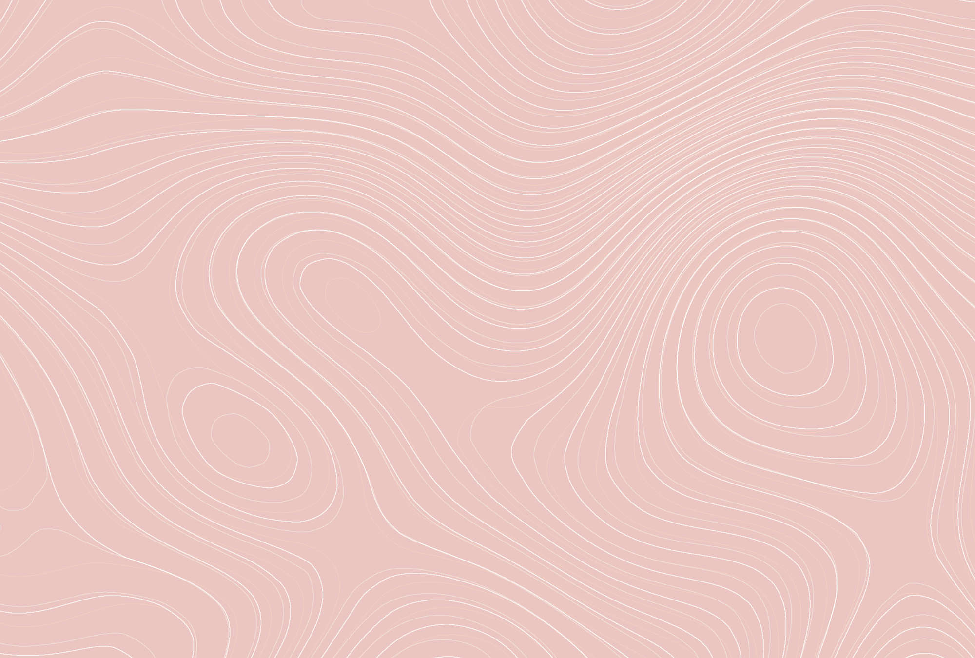             Papel pintado con motivo de líneas abstractas - rosa, blanco
        