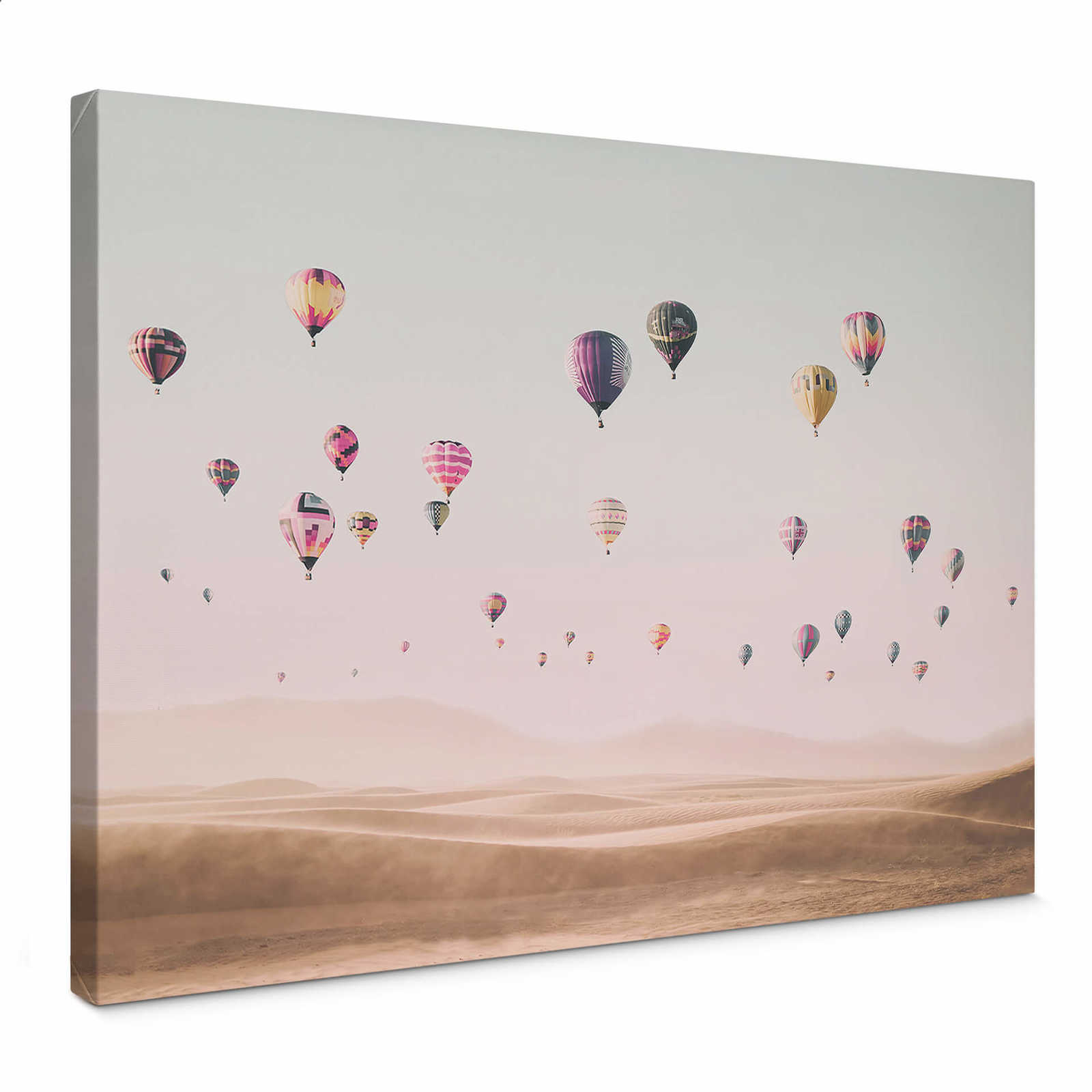         Canvas print sky and hot air balloon, sisi & seb
    