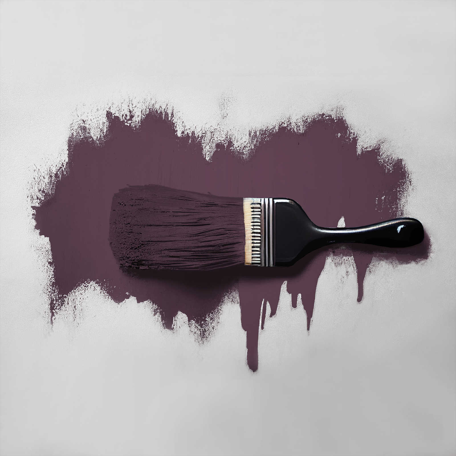             Pittura murale TCK2007 »Beady Beetroot« in un gioco di viola e rosso – 2,5 litri
        