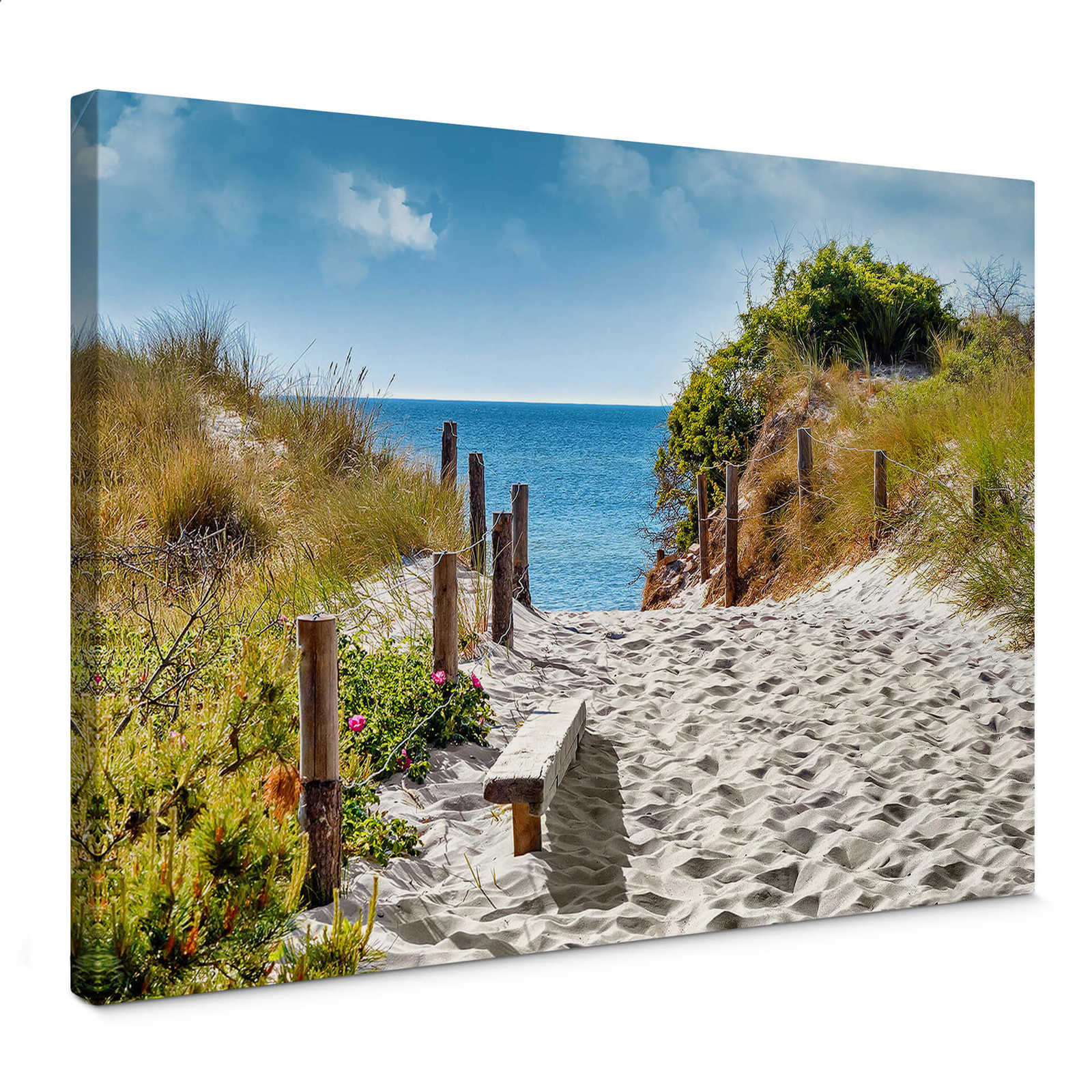         Canvas print dune crossing with sea view
    