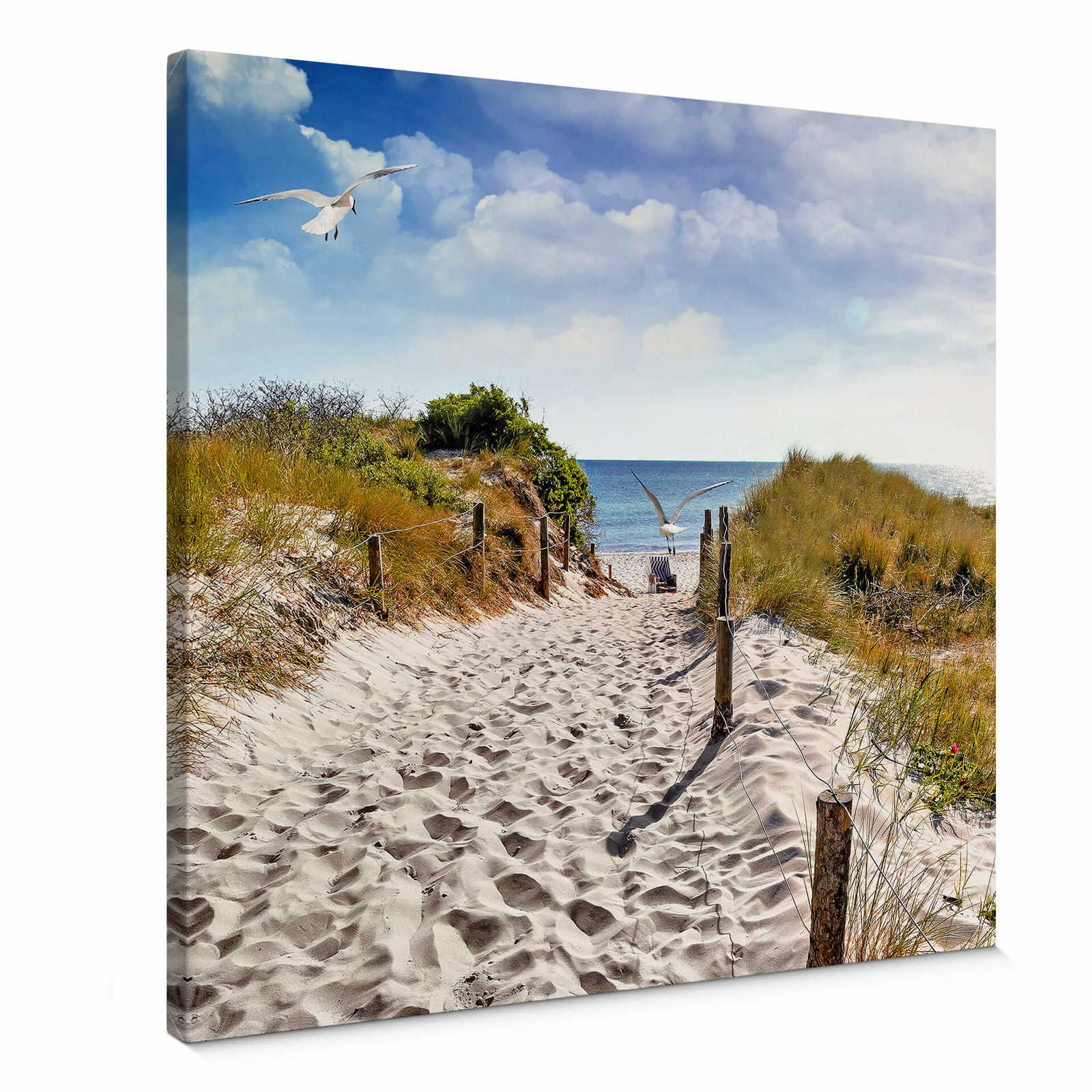         Path to the beach square canvas print
    