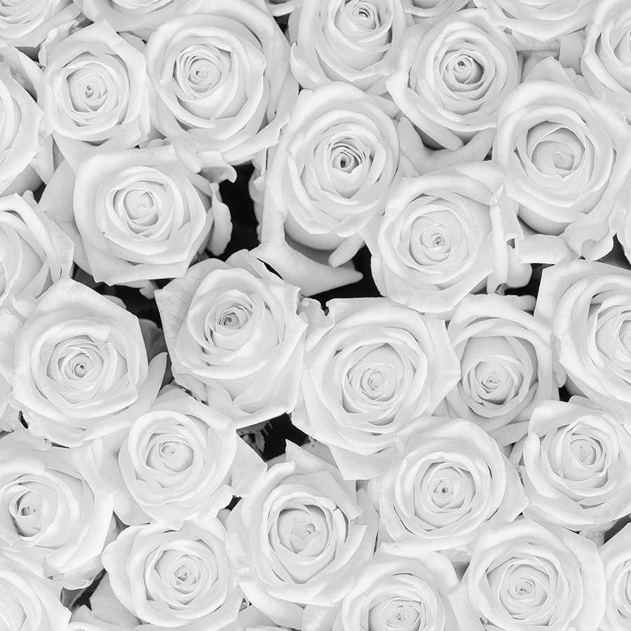 Plants mural white roses on matt smooth fleece
