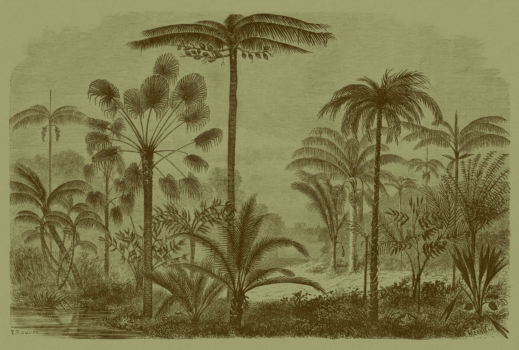             Jurassic 1 - Digital behang jungle motief kopergravure groen in kartonnen structuur - Bruin, Groen | Mat glad vlies
        