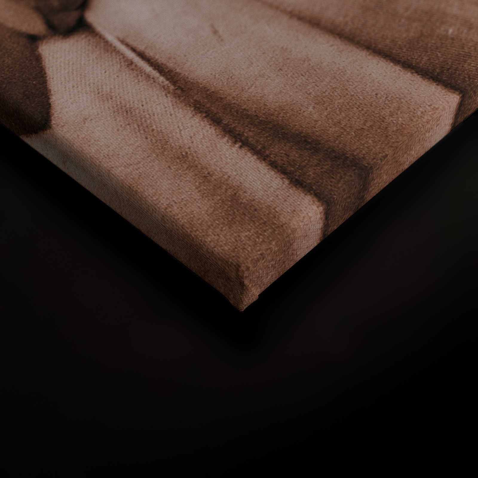             Quadro su tela Ali di piume in marrone seppia - 1,20 m x 0,80 m
        