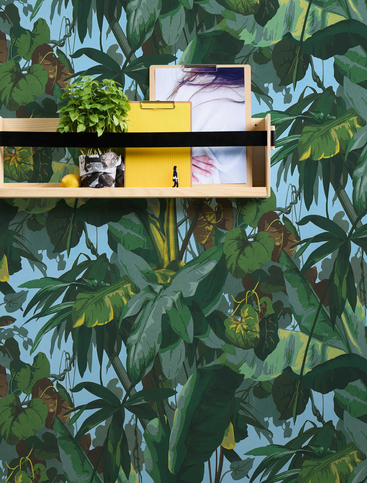             Papier peint adhésif | Jungle avec forêt de feuilles - vert, bleu, jaune
        