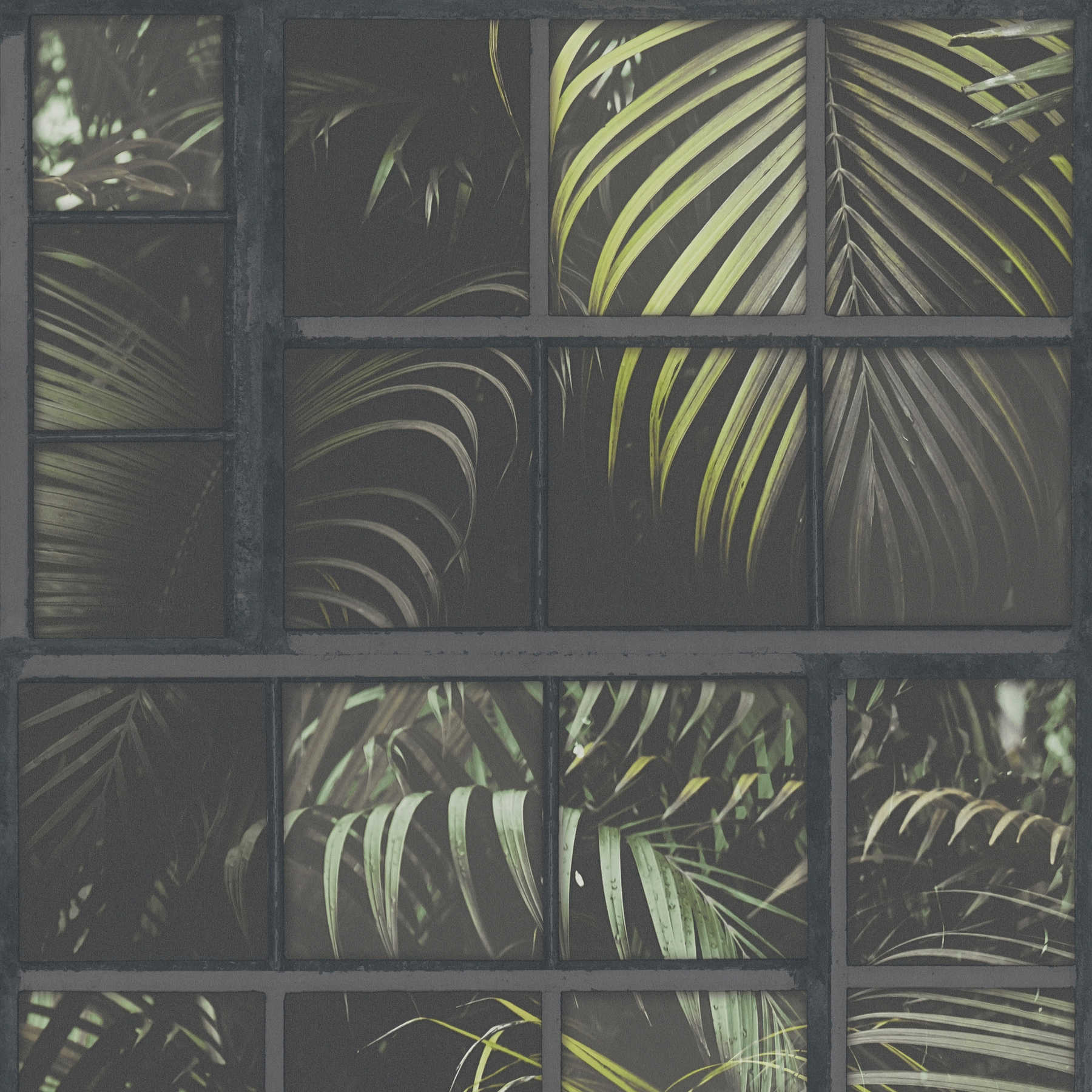         Wallpaper windows jungle view, 3D effect - grey, green, black
    