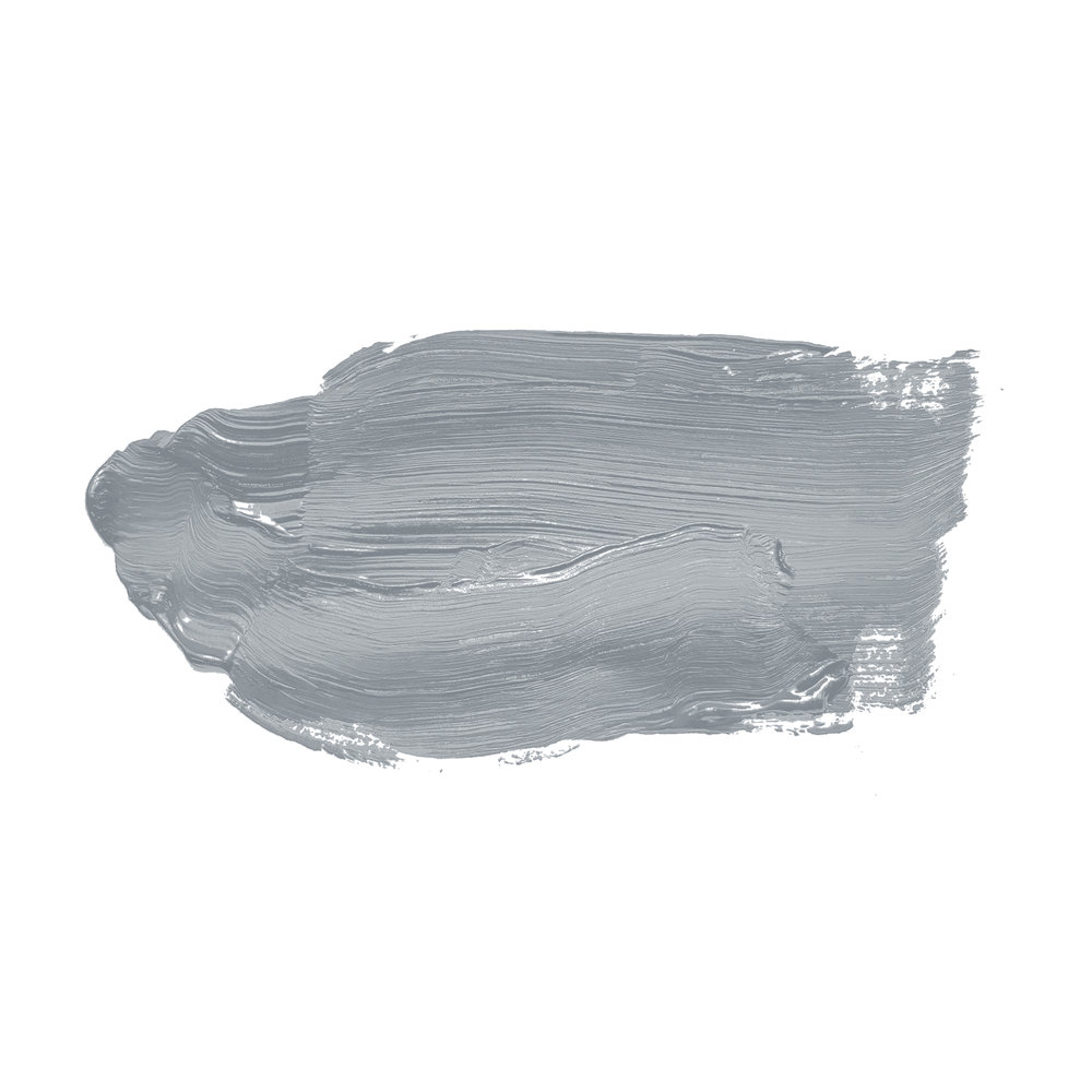             Wall Paint TCK1005 »Sesame Ice Cream« in bluish light grey – 5.0 litre
        
