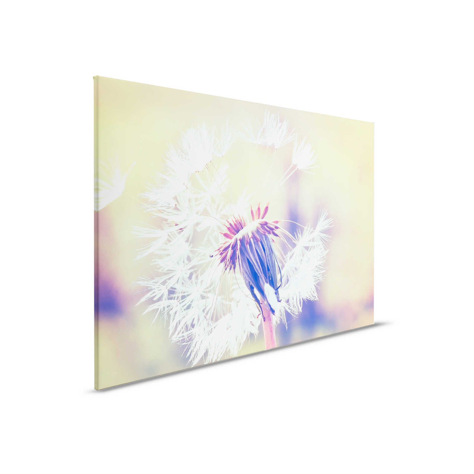 Canvas with dandelion motif | Blue, Violet, White - 0.90 m x 0.60 m
