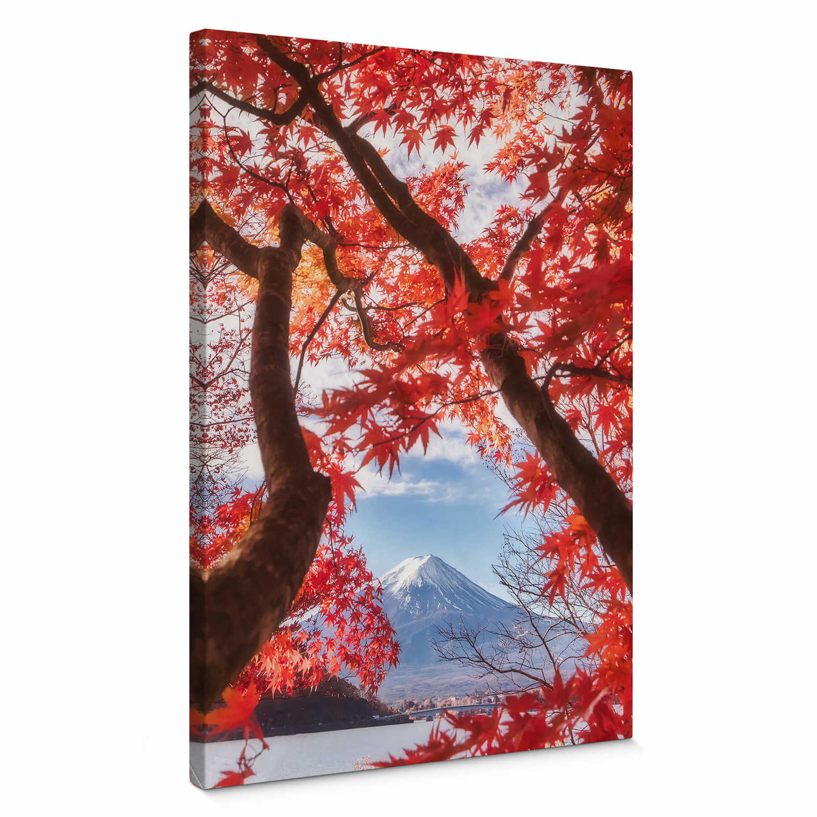         Canvas print Japanese maple in spring with Fuji
    