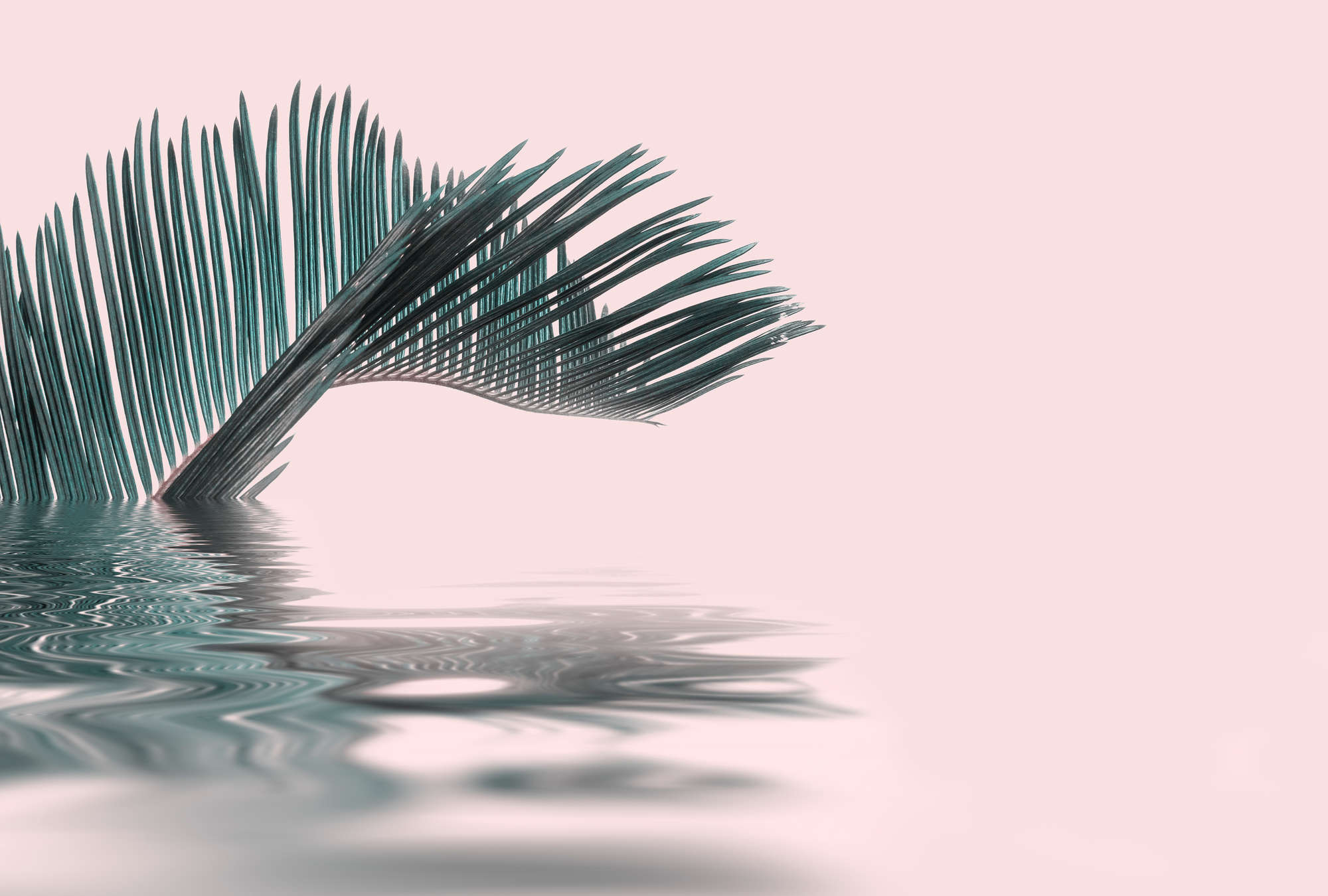             Photo wallpaper palm leaf in water - green & pink
        