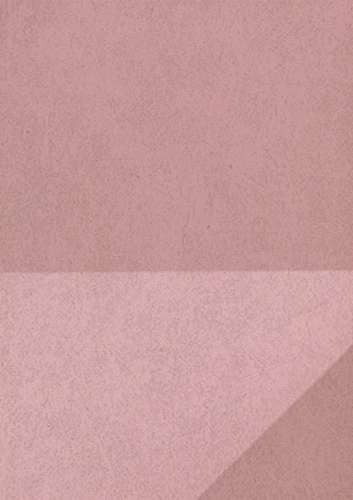             Novità per la carta da parati - Carta da parati con motivo 3D effetto cemento in rosé
        