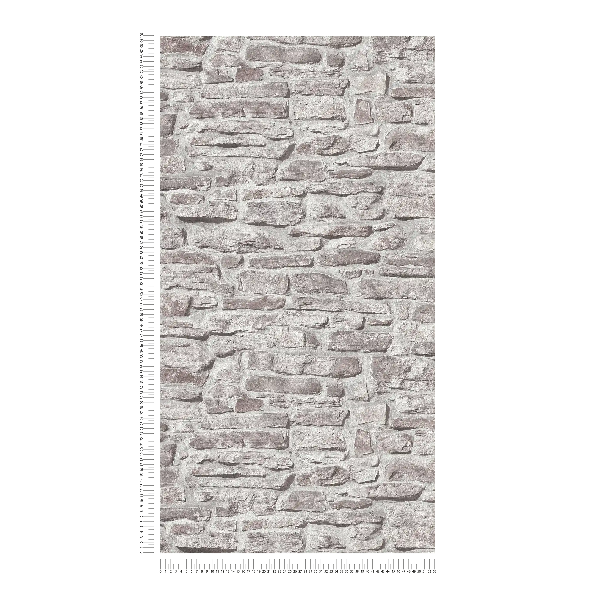             Aspect pierre papier peint en papier intissé aspect mur naturel - gris, gris, blanc
        