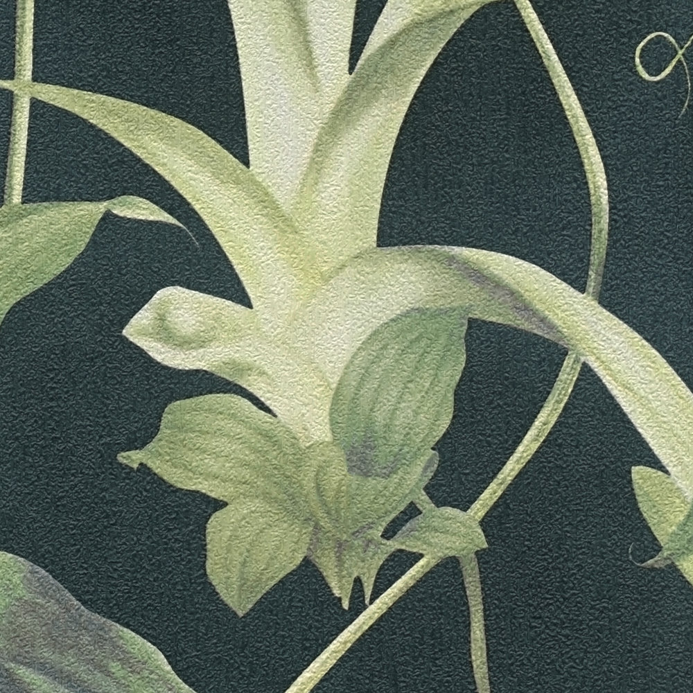             Papel pintado floral tropical Diseño de MICHALSKY - Verde, Negro
        