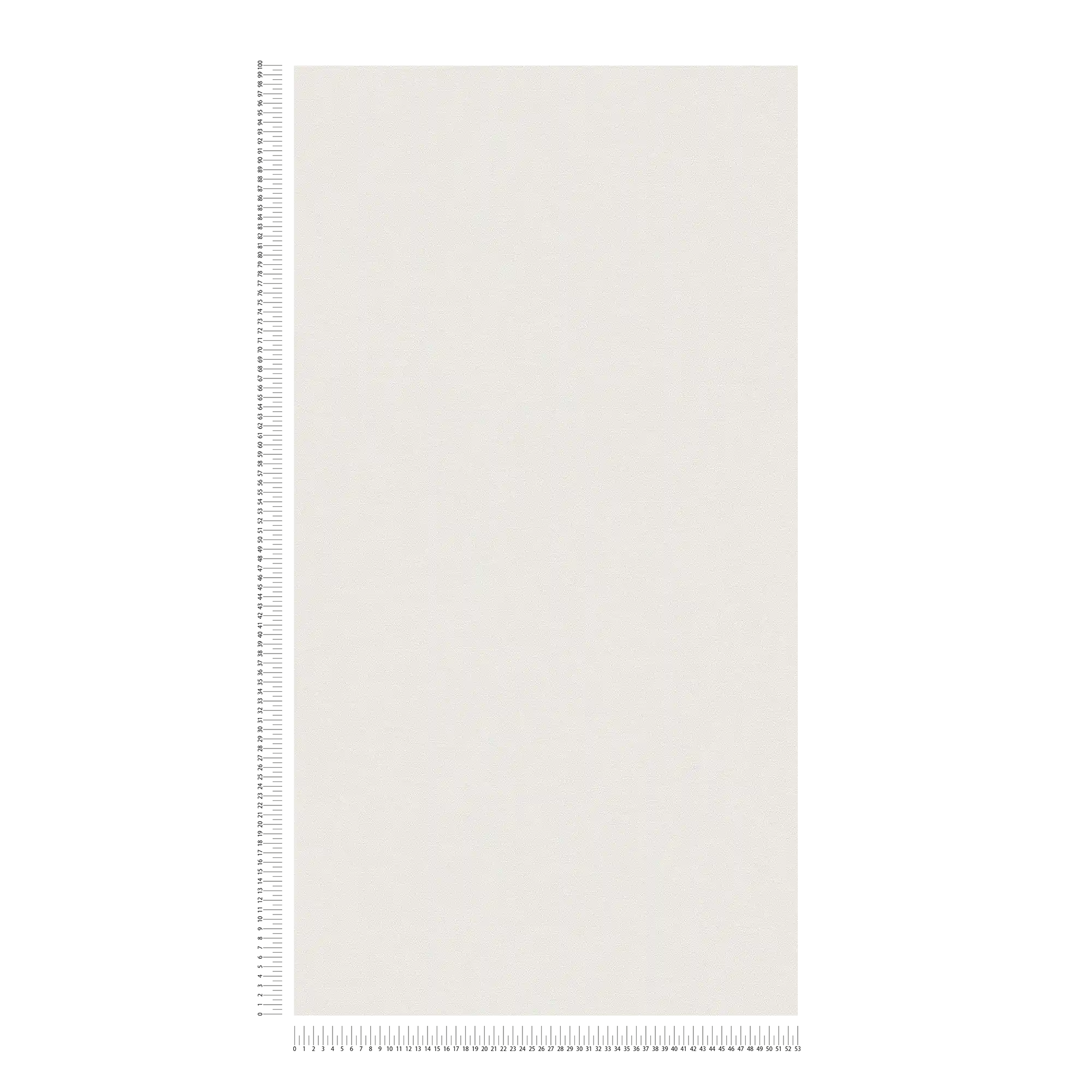             Non-woven wallpaper monochrome in light shades - white
        