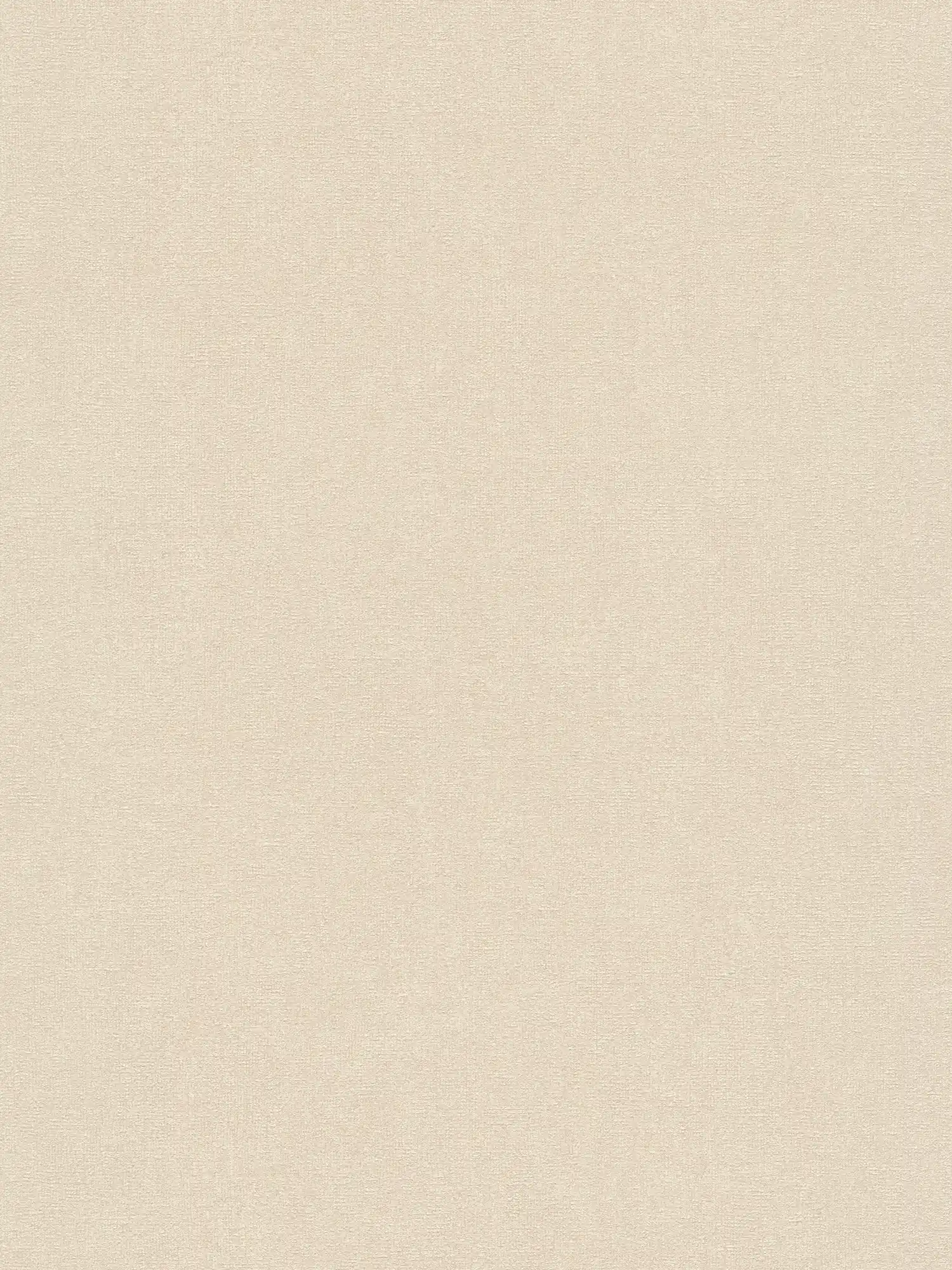         Papier peint intissé uni à structure fine - crème, beige
    