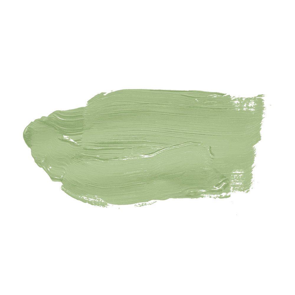             Wall Paint TCK4008 »Green Grape« in vivid green – 5.0 litre
        