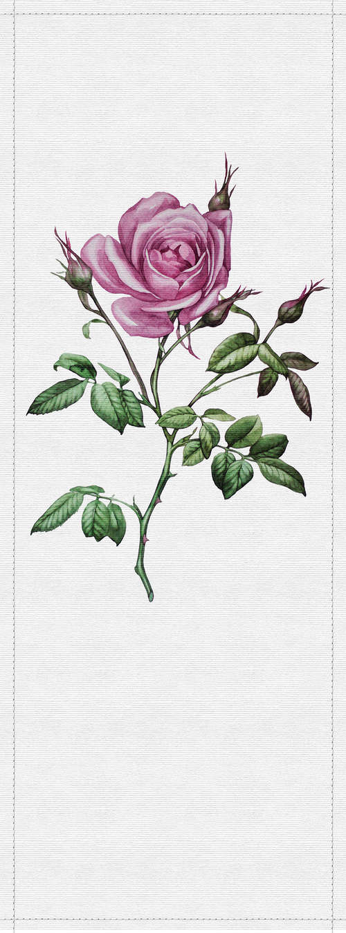             Lentepanelen 2 - Fotopaneel in ribbelstructuur met roos in botanische stijl - Grijs, Roze | Pearl gladde fleece
        