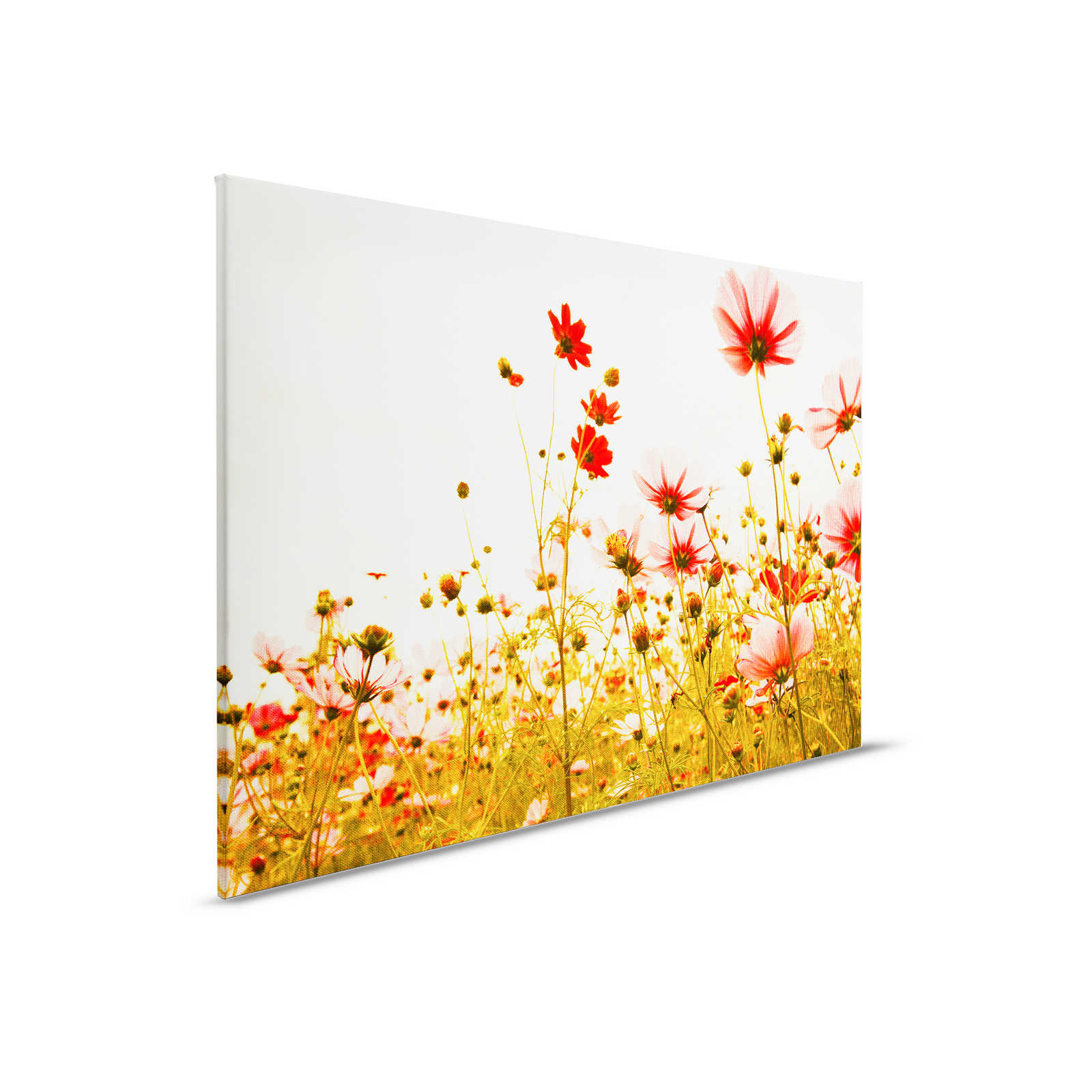         Canvas with flower meadow in spring | green, pink, white - 0.90 m x 0.60 m
    