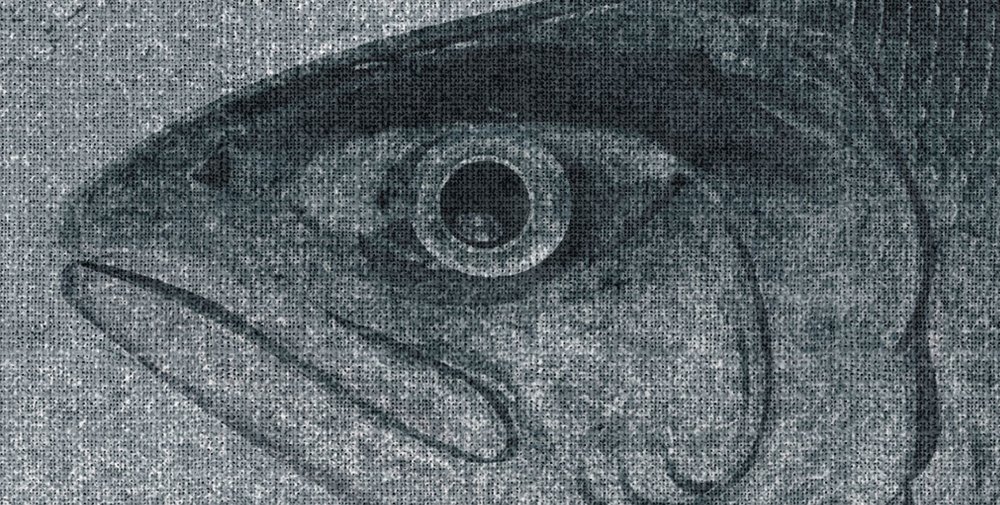             Into the blue 3 - Acuarela de peces en gris como papel pintado fotográfico en estructura de lino natural - Gris | Tejido sin tejer liso mate
        