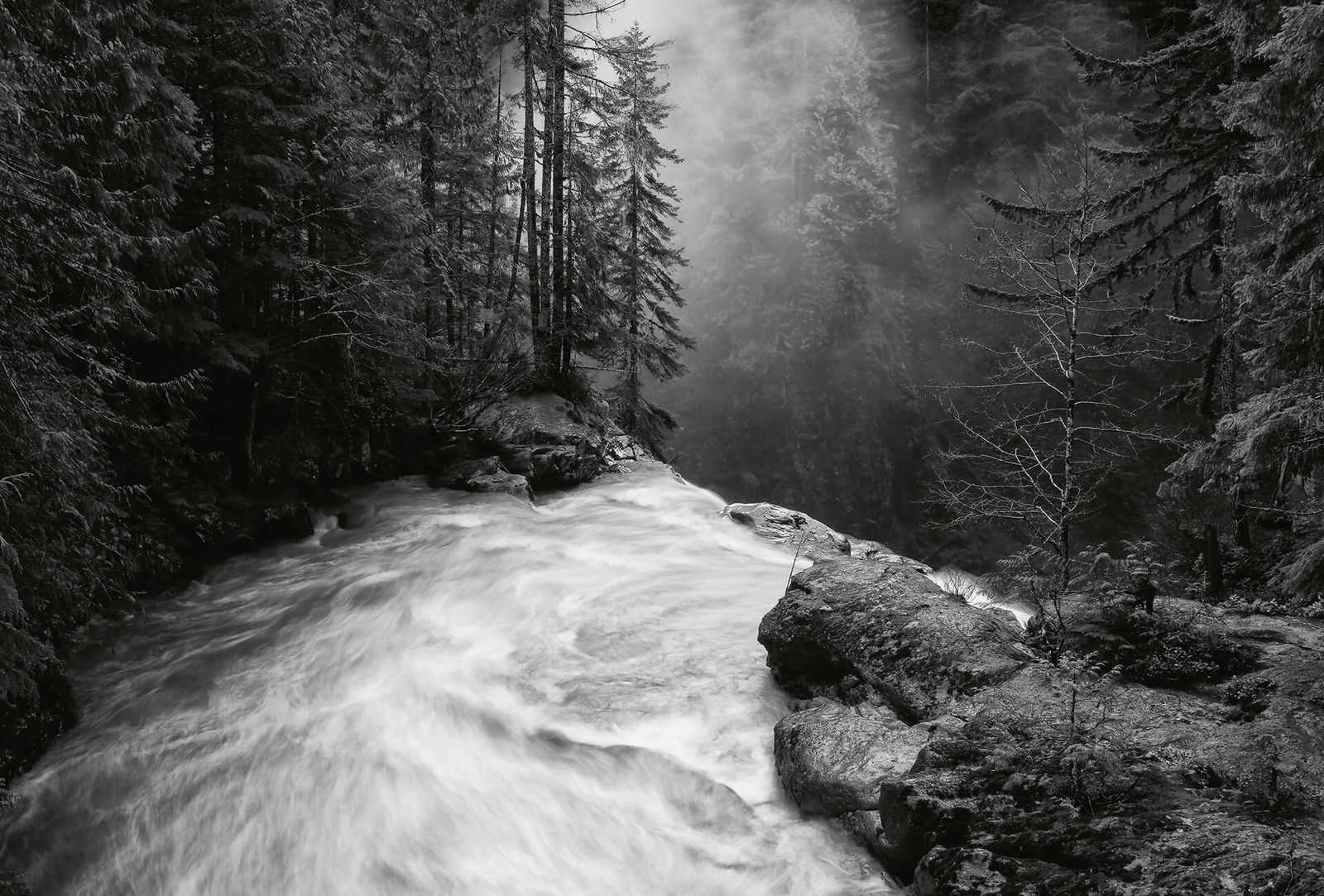         Photo wallpaper forest with waterfall - black, white, grey
    
