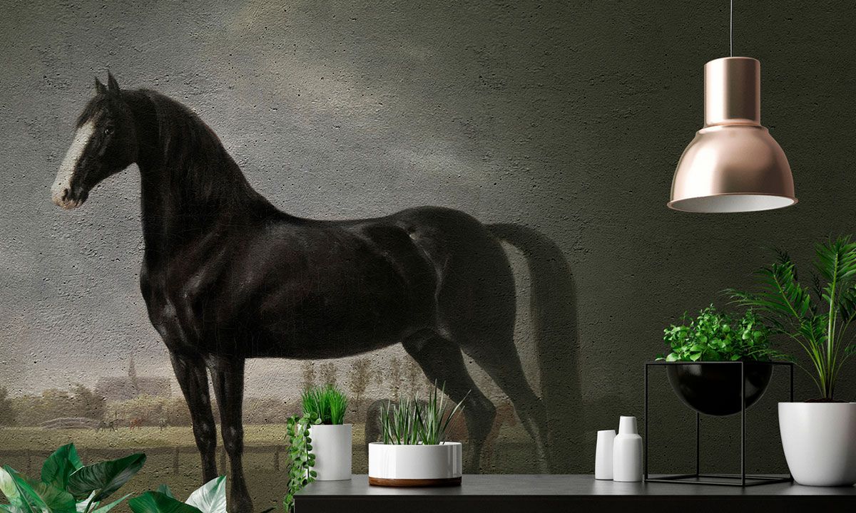 Living room wallpaper black horse in portrait style DD110666