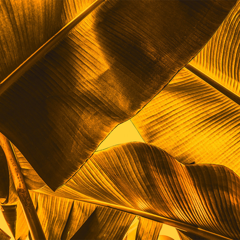 Detalle del cuadro de las hojas tropicales - Naranja, Amarillo
