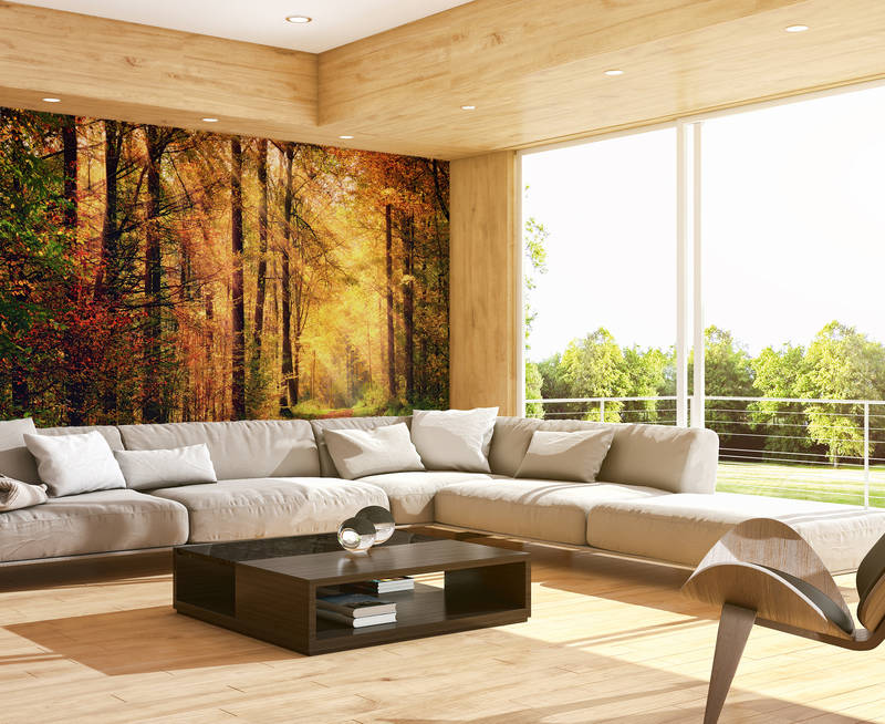             Nature mural forest path in autumn on mother of pearl smooth nonwoven
        