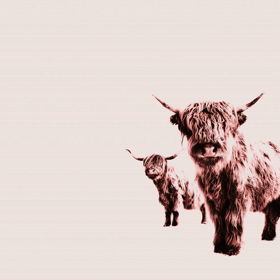         Highland cattle mural with shaggy animal motif
    