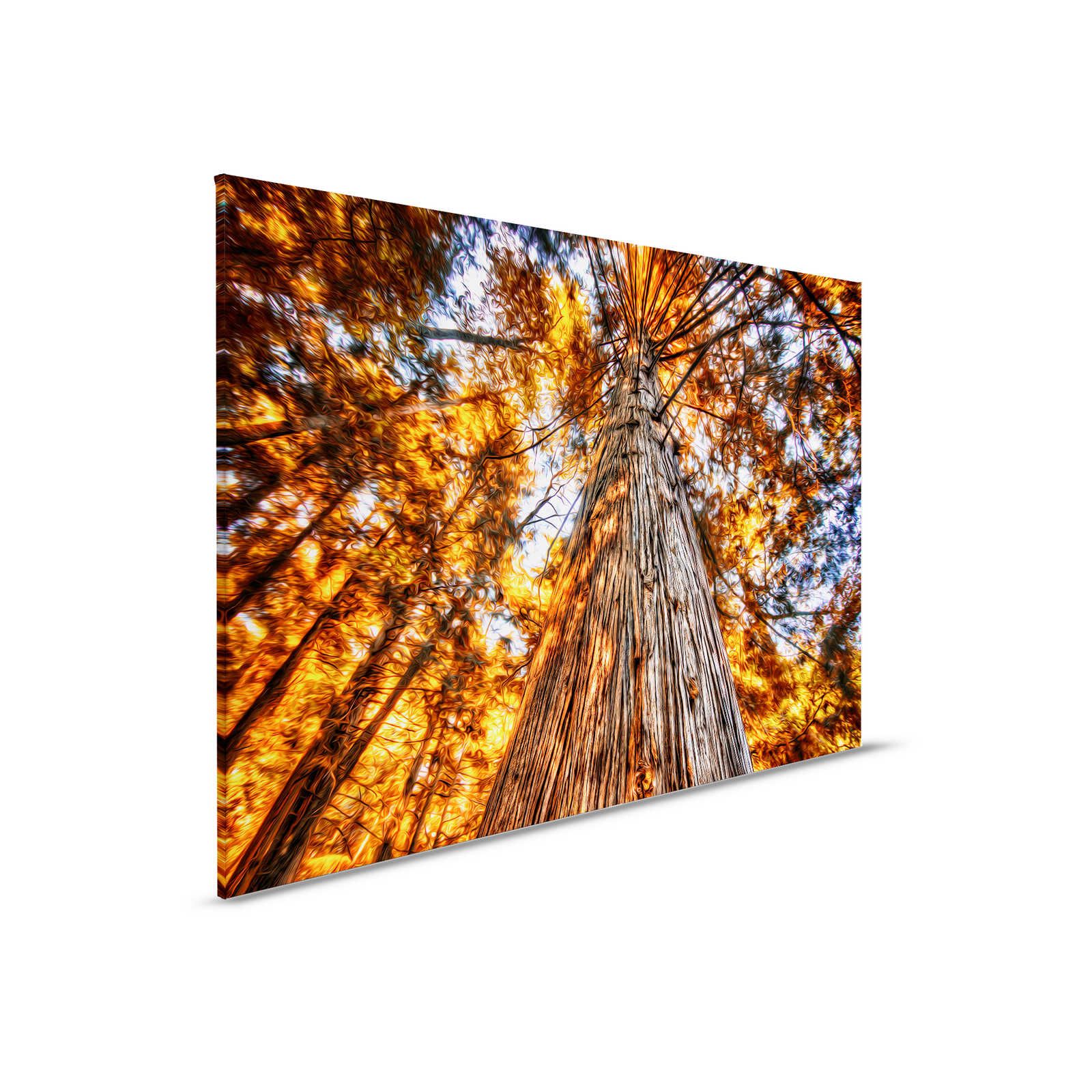 Tableau toile Vue de la cime d'un arbre aux couleurs incandescentes - 0,90 m x 0,60 m

