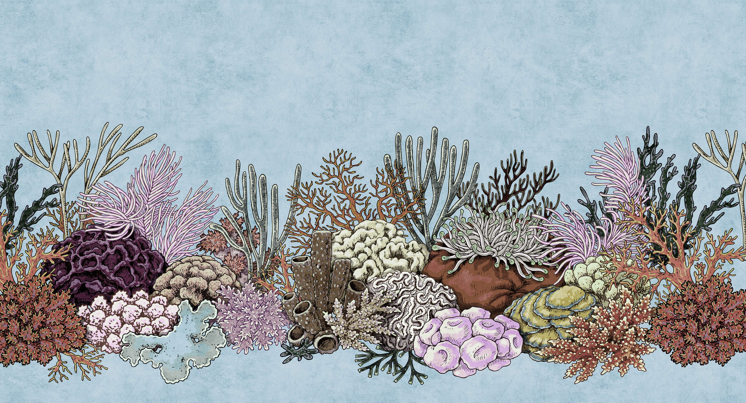             Octopus's Garden 1 - Onderwaterbehang met koralen in vloeipapierstructuur - Blauw, Roze | Premium Smooth Vliesbehang
        