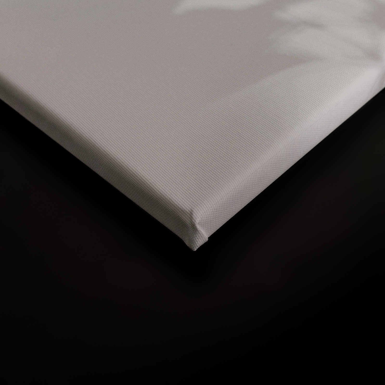             Shadow Room 2 - Lienzo Naturaleza Gris y Blanco, Diseño Desvanecido - 0.90 m x 0.60 m
        