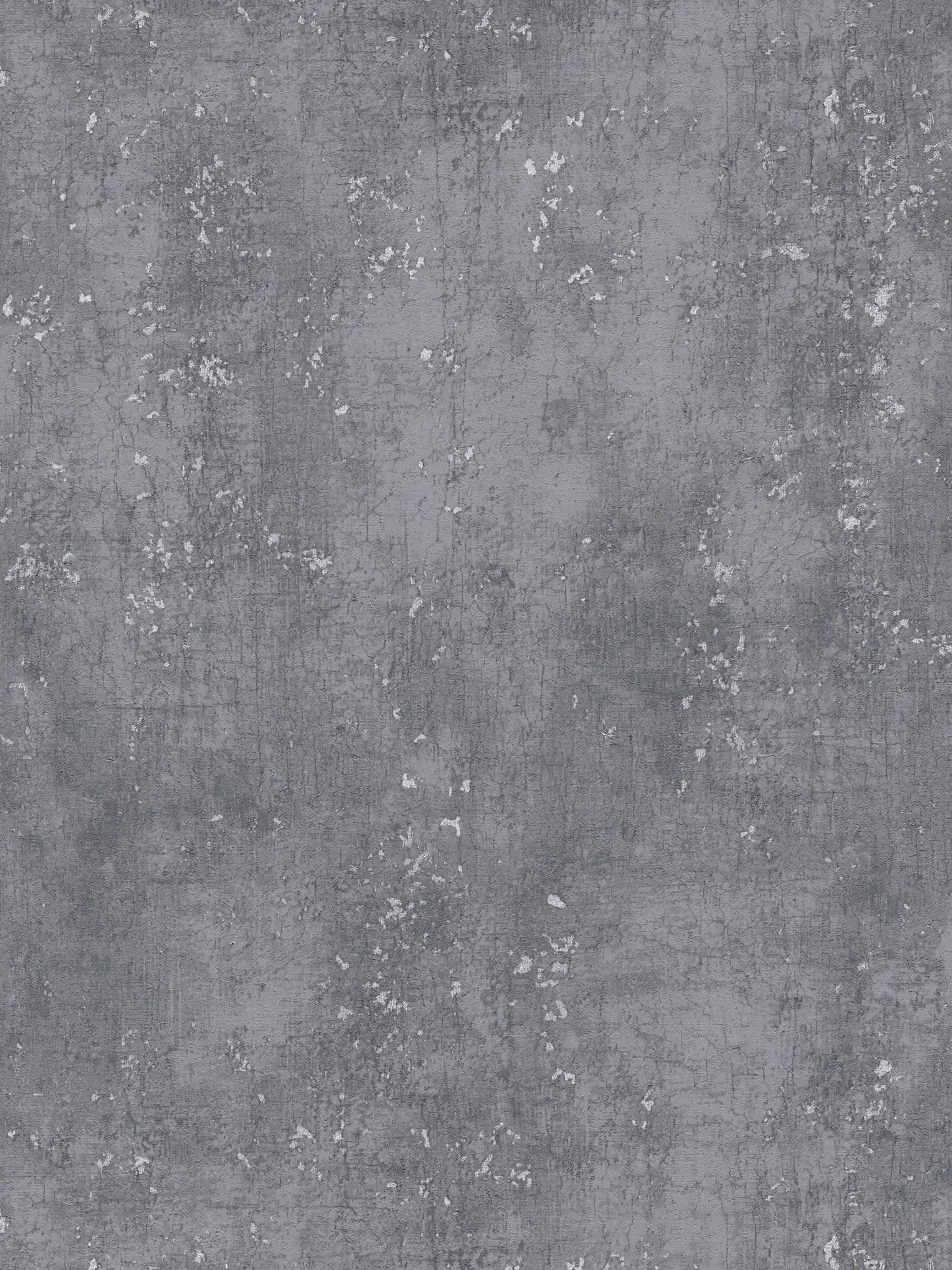             Carta da parati grigio scuro con effetto intonaco Udes - grigio, metallizzato
        