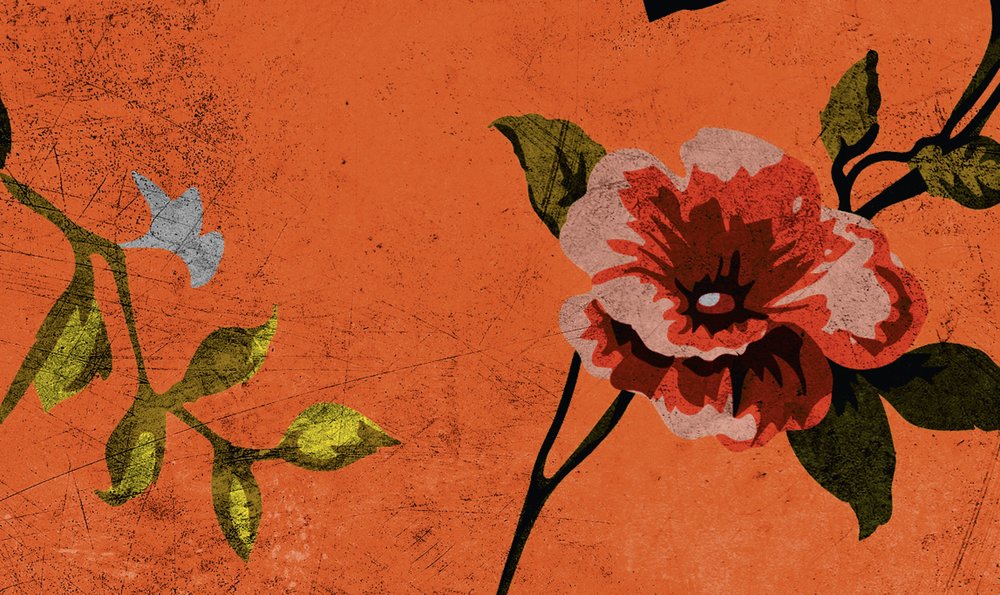             Wild roses 2 - Papier peint panoramique roses à structure rayée, look rétro, orange - jaune, orange | nacré intissé lisse
        