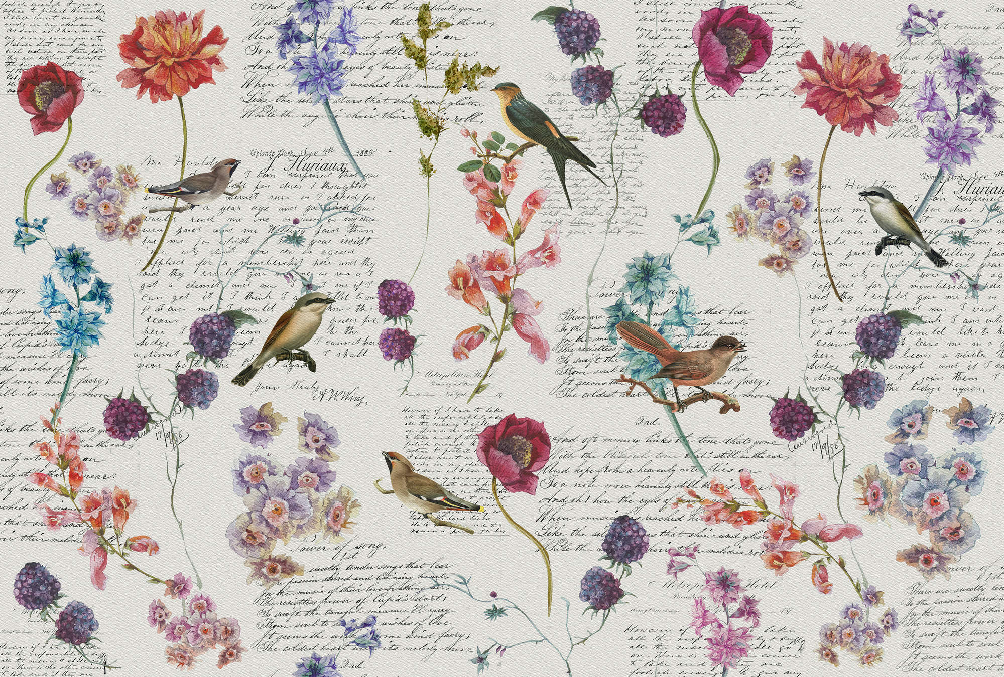             Carta da parati con fiori e uccelli in stile vintage - Colorata, bianca, blu
        
